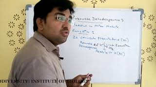 Pyruvate dehydrogenase complex