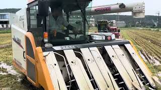 井關7120和野馬YH7120一起割稻