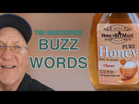 Bee Entrepreneurs: The Buzz on Apiary Innovators | Golden Age