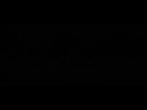 Assassin's Creed Shadows- Discovering- Legendary wise monkeys