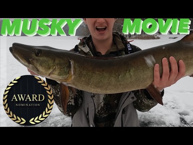 Judge.me YouTube video placeholder