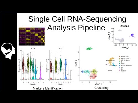 Clustering and Markers Identification for ScRNA-Seq | Seurat Package Tutorial