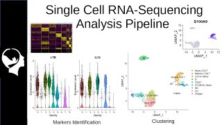 Download the video "Clustering and Markers Identification for ScRNA-Seq | Seurat Package Tutorial"