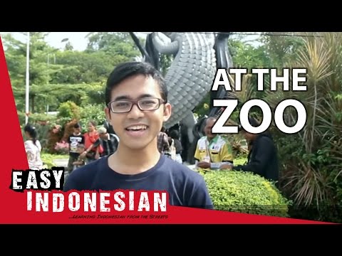 Easy Indonesian 3 - At the zoo