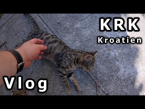 Stadtbummel mit Katzen, 70 Min Workout & Honig-Shopping 🐝 | Kroatien Vlog Tag 143 🇭🇷