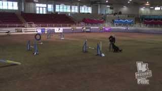 Jake National UKI Agility Finals Best View