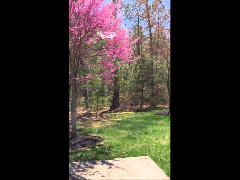 JJRC 1000 Unboxing And Outdoor Flight Review