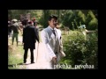Королёк птичка певчая 