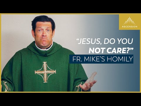 "Jesus, Do You Not Care?" (Fr. Mike's Homily) - 16th Sunday in Ordinary Time