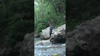 Download lagu umpan cacing hidup #fishing #mancing #ikan #mancingmania mp3