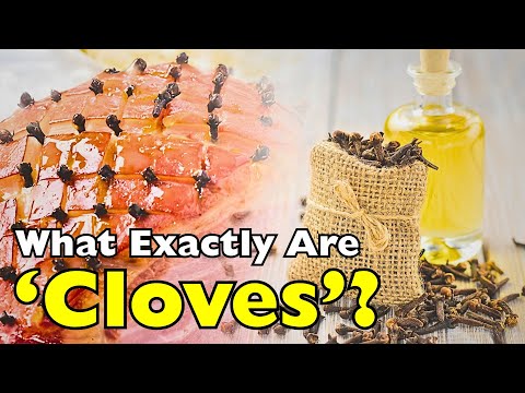 What Exactly Are Cloves? The World’s Most Powerful Spice