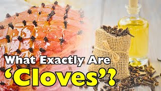 What Exactly Are Cloves? The World’s Most Powerful Spice