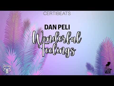 Dan Peli - Wonderful Feeling (Official Audio)