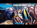 Finding Nemo The Live Action Remake Part 15 Fixed