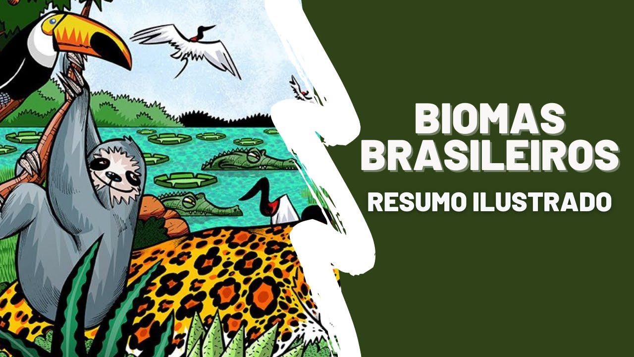 OS BIOMAS BRASILEIROS - Biomas brasileiros e suas características. Resumo de Geografia.