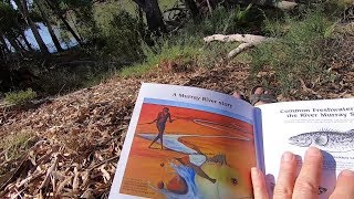 preview picture of video 'AUSTRALIA – Lungo il fiume Murray'