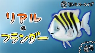 リアルな『実写 フランダー』を模写したら疲れた(:3_ヽ)_