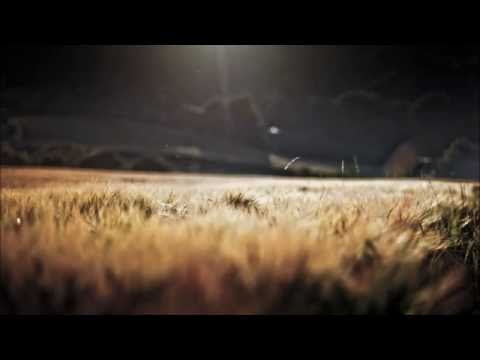 Maiga - Harvest (Original mix) MCP006