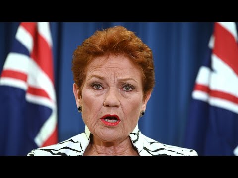 Pauline Hanson declares One Nation the ‘true opposition’ after Liberal leadership shake-up