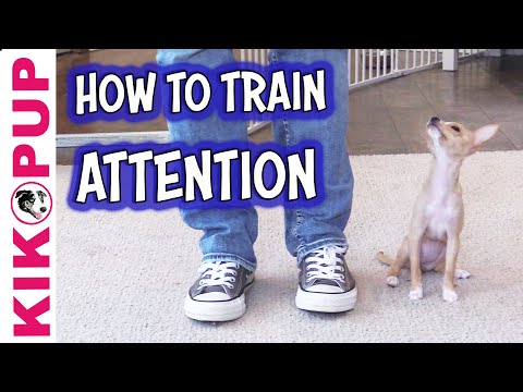 STOP UNWANTED behaviors with BACK UP