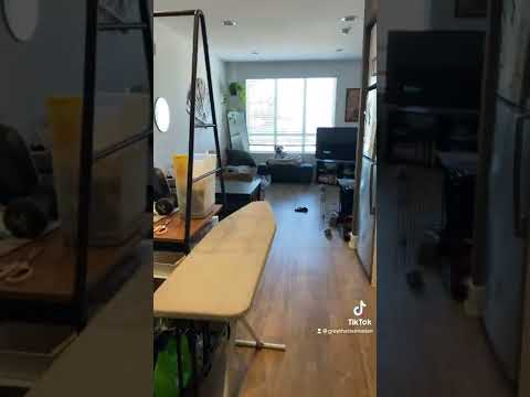 Best Smiling Greeting from a funny Dalmatian!