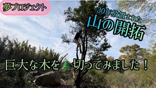 夢プロ！山で邪魔になってる木を素人が切ってみた！