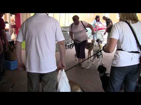 Rhoon 1 oktober 2011.WMV