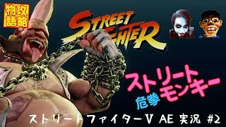 【平成元年ズ】『ストリートファイターⅤ AE実況 #2 ストリートモンキー 危拳』