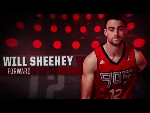 Raptors 905 Highlights: Will Sheehey - December 1, 2016