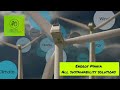 Hydrogen Fuel Cell Cars Future Of India