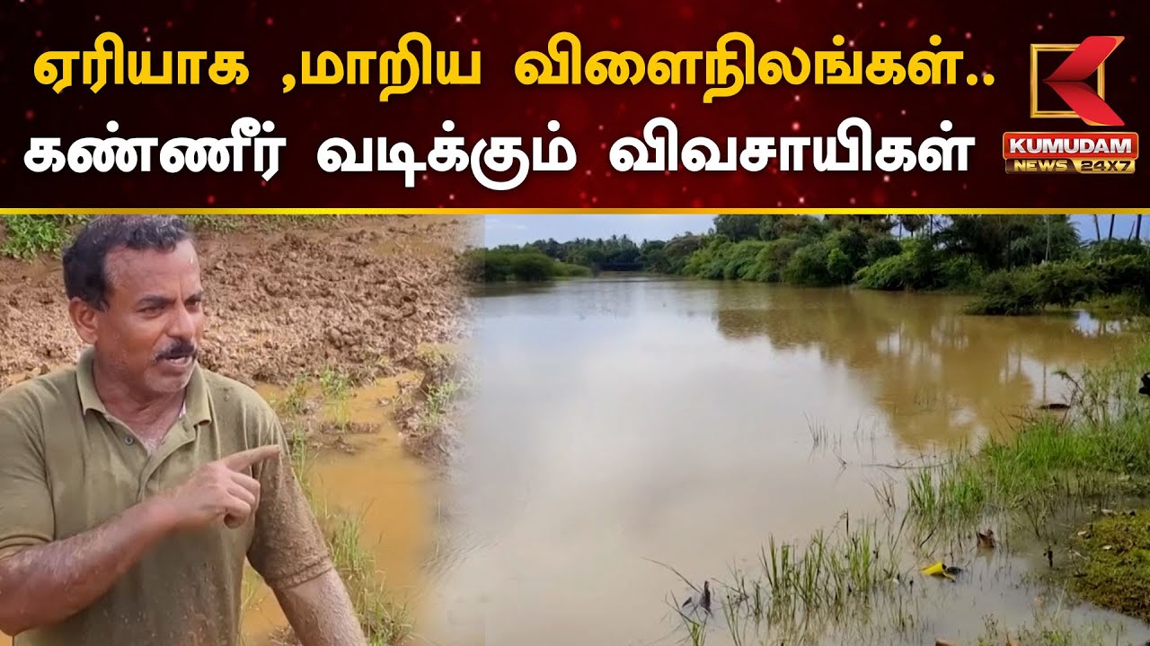 ஏரியாக ,மாறிய விளைநிலங்கள்.. தண்ணீர் பார்த்து கண்ணீர் வடிக்கும் விவசாயிகள்