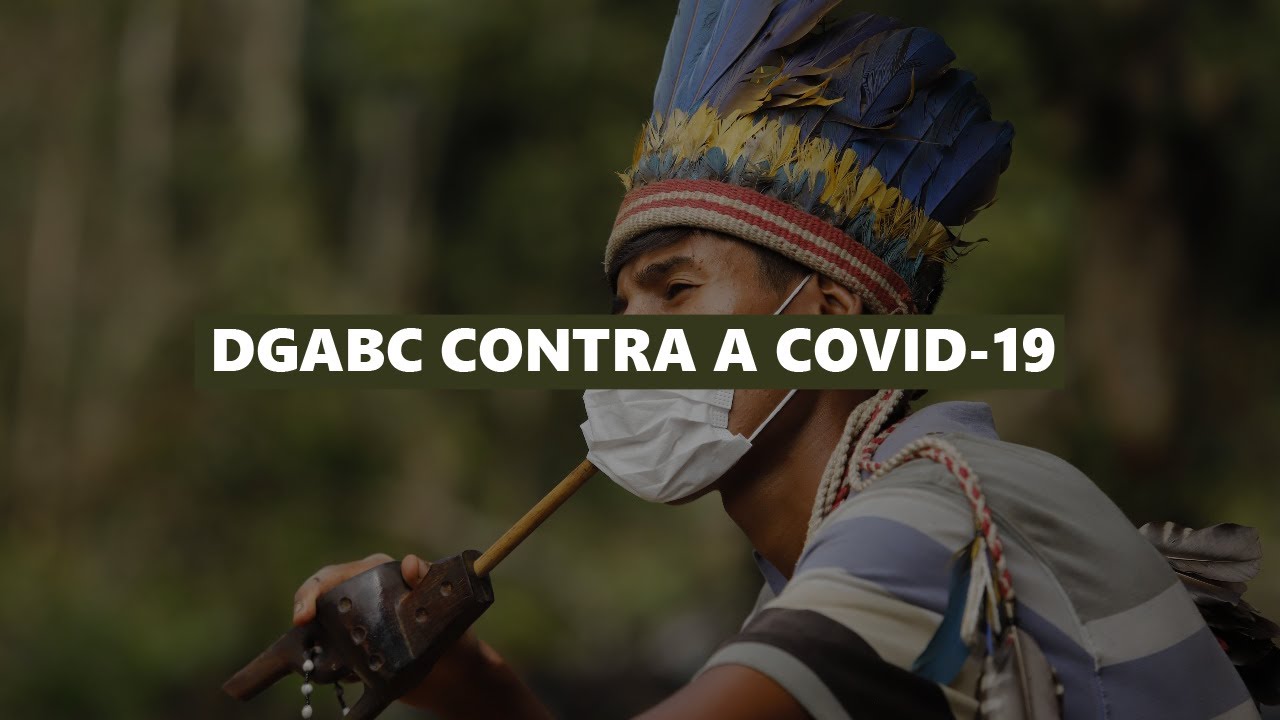 Coronavírus - 'Pela primeira vez na história os índios estão na frente dos brancos'