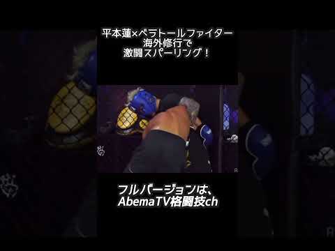 平本蓮×ベラトールファイター🔥海外修行で激闘スパーリング！