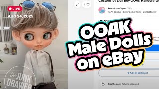 Browsing OOAK Male Fashion Dolls on eBay - LIVE!!