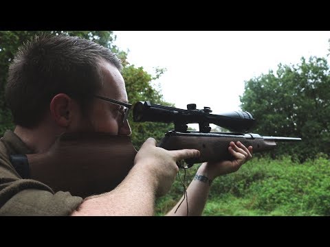 Review Air Arms Pro Sport