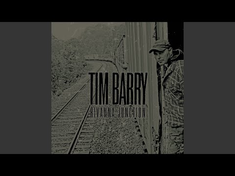 Cardinal in Red Bed - Tim Barry