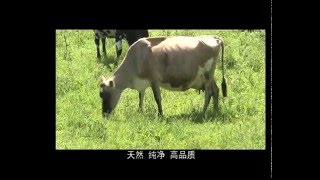 New Zealand GoldMax Health Limited English Version