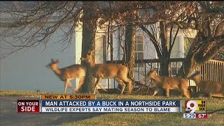Buck attacks man and his dog in Northside park