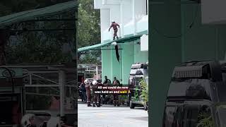 Cat stuck high on an awning takes the leap — and lands on her feet 🐱❤️ #CatRescue #AnimalRescue #H