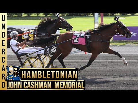 2020 John Cashman Memorial - Gimpanzee