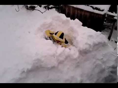 Belforte all'isauro Super Nevicata 2012- Italia 1 a casa rossi!