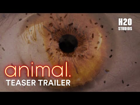 animal. | Official Teaser Trailer