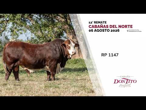 5 DON TITO RP 1147   CABAÑAS DEL NORTE 2026