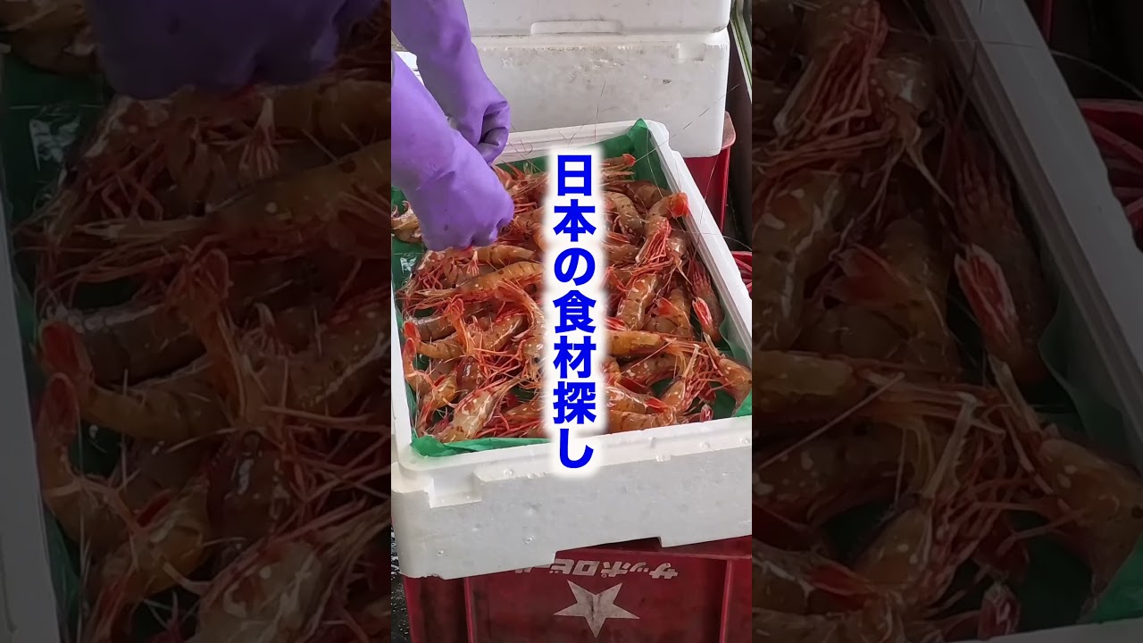 キャンピングカーで暮らす家族🚐 Vanlife Japan #shorts