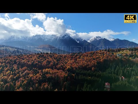 BUCEGI Mountains Natural Park - Autumn Colours 4K UHD