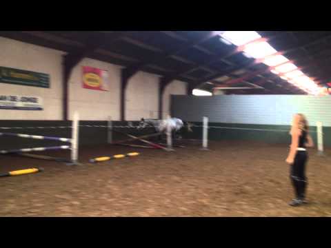 Bidolente (Larino x Larno x Nimmerdor) vrijspringen