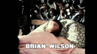 BRIAN WILSON TRIBUTE THE BEACH BOYS ADRIAN BAKER GIDEA PARKy Groome