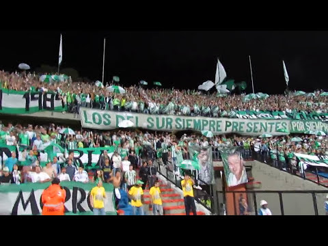 "Febrero 10 del 2012 Atlético Nacional 4 vs Chicó 0 - Los Del Sur Siempre Presentes" Barra: Los del Sur • Club: Atlético Nacional