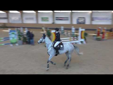 "Chingelbell"   München/ Riem 17.3.2017 - Springpferde A** Platz 5