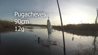 Essa isca não pode faltar na sua caixa!  ela faz diferença! Pugachev'es